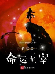 我就是命运主宰封面